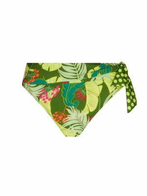  vert tropic