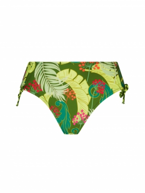  vert tropic