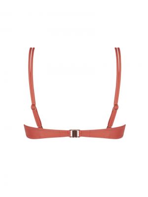  corail
