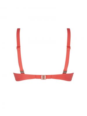  corail